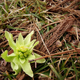 Image for article titled Shooting Challenge: Spring Gallery 2